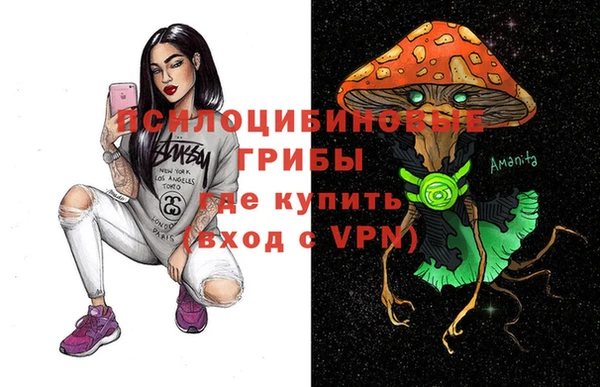 стаф Алексин