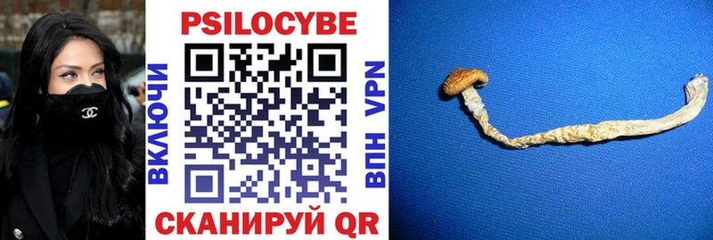 Псилоцибиновые грибы Magic Shrooms Тихвин